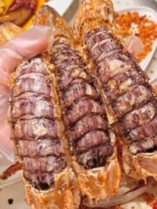 Click to view full screen jumbo Mantis Shrimp Live Seafood Shipped with Oxygen Packs photo review