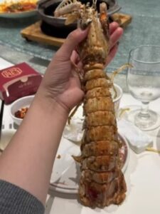 Click to view full screen jumbo Mantis Shrimp Live Seafood Shipped with Oxygen Packs photo review