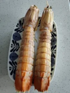 Click to view full screen Langostas Mantis Gigantes Vivas - Enviadas con Oxígeno para Máxima Frescura photo review