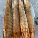 Langostas Mantis Gigantes Vivas - Enviadas con Oxígeno para Máxima Frescura photo review