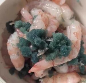 Click to view full screen Top-grade Sashimi Seafood, Arctic Sweet Shrimp photo review